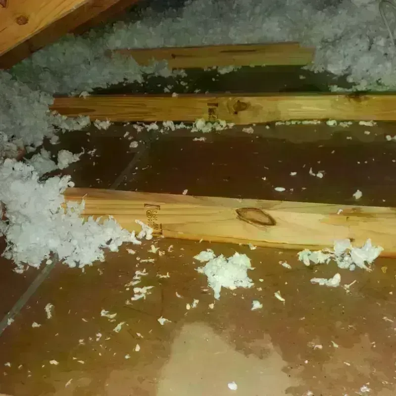 Attic Water Damage in Clover, SC