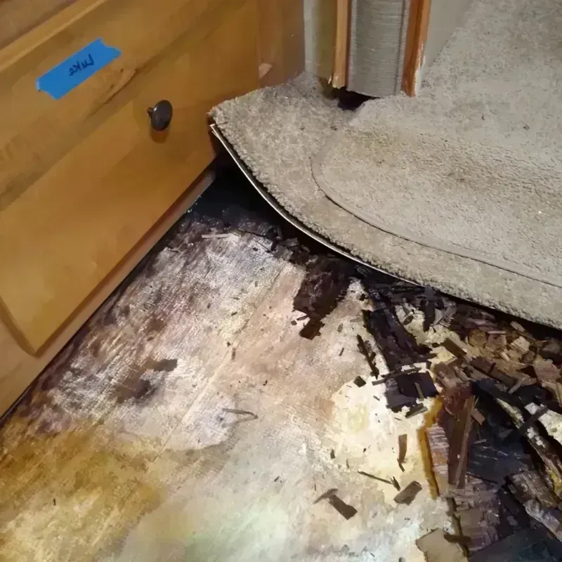 Wood Floor Water Damage in Clover, SC